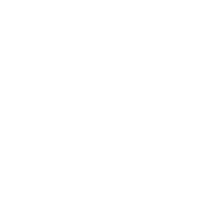 salt water avoca logo